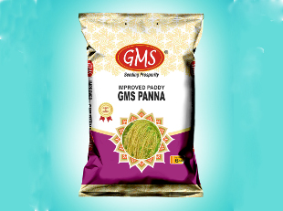 Improved Paddy GMS PANNA