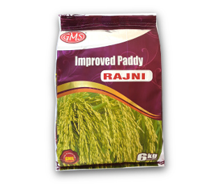 Improved Paddy RAJNI