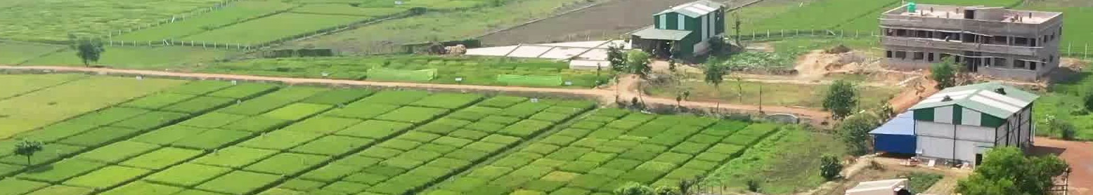 career at GMS Agritech
