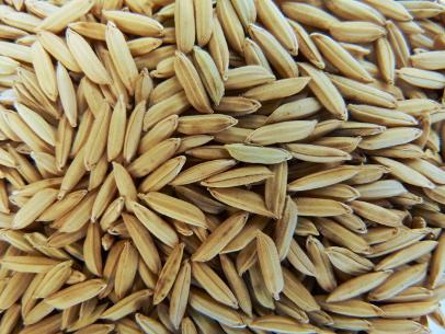 Improved Paddy UTSAV