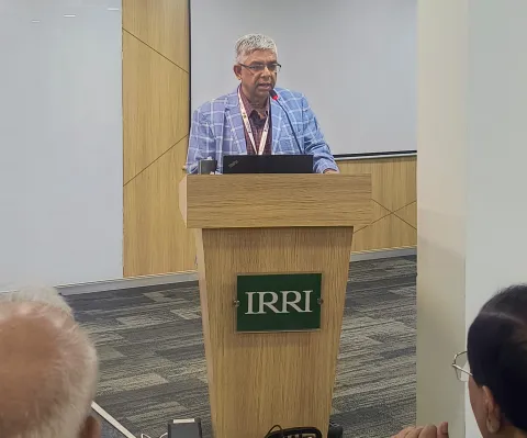 IRRI Seimar 2024