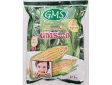 Hybrid Maize GMS - 70