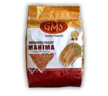 Improved Paddy MAHIMA