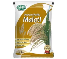 Improved Paddy MALATI