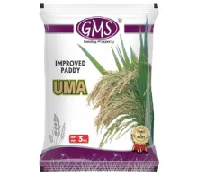 Improved Paddy UMA