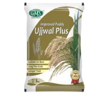 Improved Paddy UJJAL PLUS